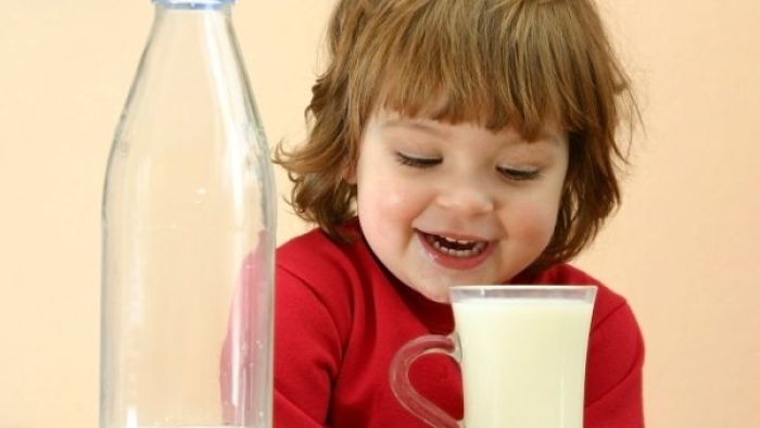 İnek Sütü Yararlı mı Zararlı mı?