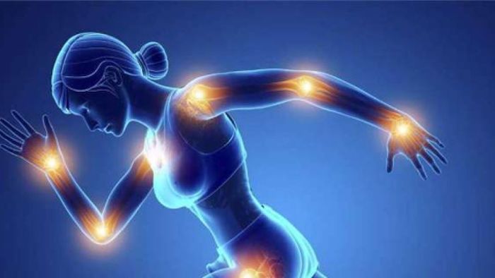 Eklem Sağlığına Yönelik Seçimde Doğru Kolajen Tipi Eklemler İçin En İyi Kolajen Markası