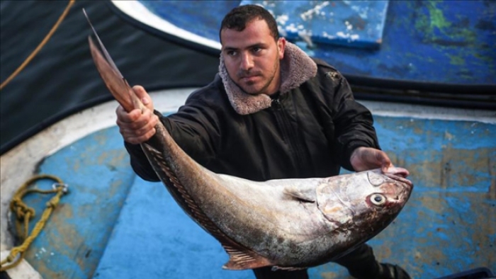 Gazzeli balıkçıların 9 milde av sevinci
