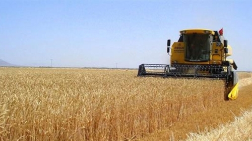 Çiftçinin umudu nisan yağmurları