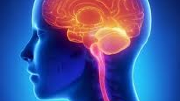 Mesleki manyetik alanlara maruz kalma ALS riskini arttırır