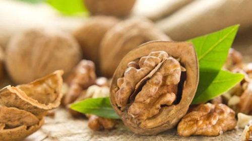 Cevizin İnsan Sağlığına Faydaları